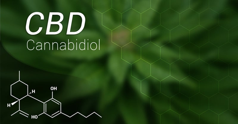 What Are The Variations Between CBD And Kratom?