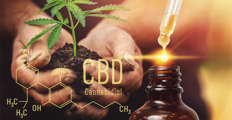 How To Use CBD Oil For Normal Wellness