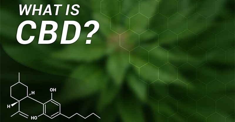 Studying Extra About CBD Oil