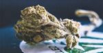 Are Delta-8-THC Merchandise Good For Your Well being? Discover Out Right here