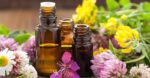 Why You Must Begin Utilizing Important Oils for Ache Reduction