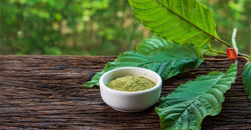 Discovering The Analgesic Energy Of Pink Kratom Strains