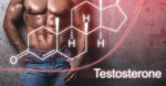 Complement Concepts For Bettering Testosterone Manufacturing