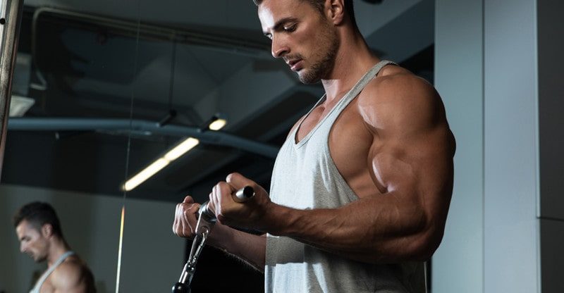 How Testosterone Boosters Work To Assist You Construct Muscle Sooner