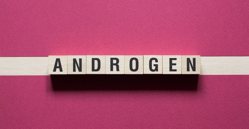 What Are Androgens And How Do They Work?